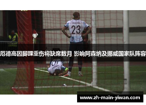 厄德高因脚踝重伤将缺席数月 影响阿森纳及挪威国家队阵容 厄德高因脚踝重伤将缺席数月 影响阿森纳及挪威国家队阵容